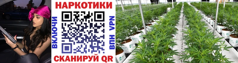 Наркошоп купить Каннабис  КОКАИН  СОЛЬ  МЕФ  Кяхта