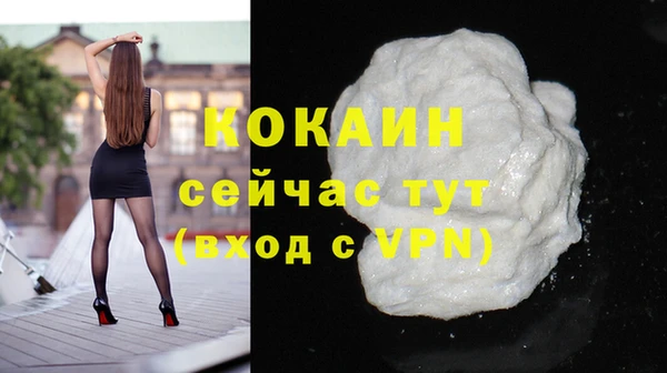 дживик Вязьма