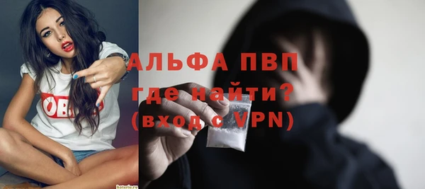 дживик Вязьма