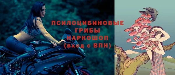 марки nbome Вяземский