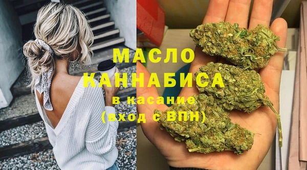 дживик Вязьма