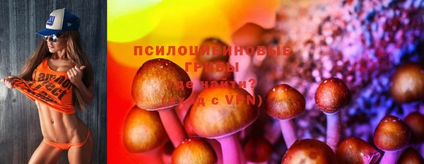 дживик Вязьма