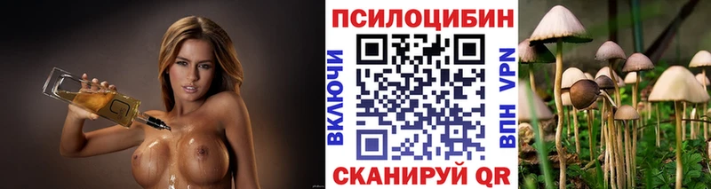 Купить где  Кяхта  Псилоцибиновые грибы MAGIC MUSHROOMS 